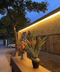 Triển Lãm Mõ Cá Gỗ Đường Lâm (5)